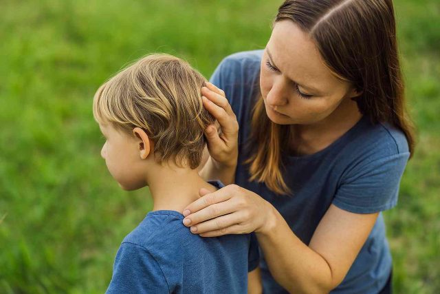 Mother Checking Child for Ticks After Playing Outside A woman examining a young child’s hair for ticks after outdoor play.